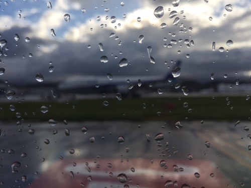 雨上がり